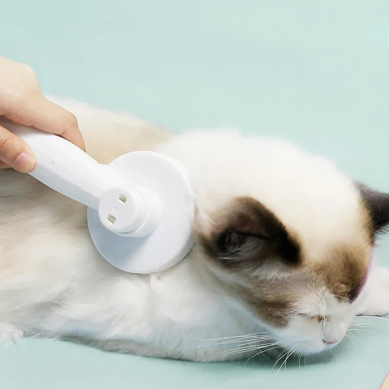Magischer Katzenkamm – Ein-Klick-Fellentfernung für Katzen und Hunde
