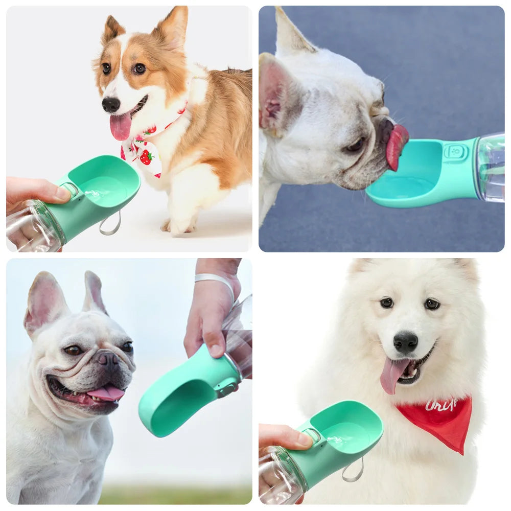HydroPet